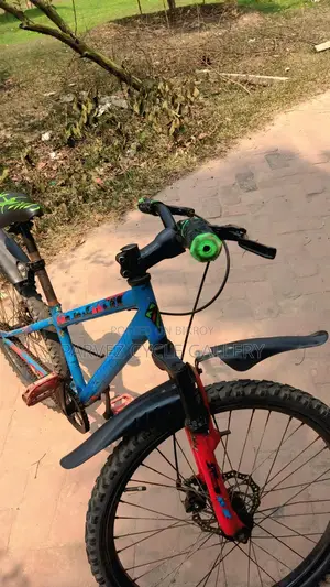 Seventy One 24″ Non-Gear Bicycle