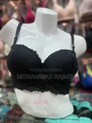 উচ্চ মানের লেডিস ব্রা