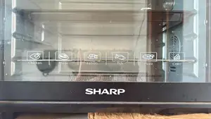 Micro Oven