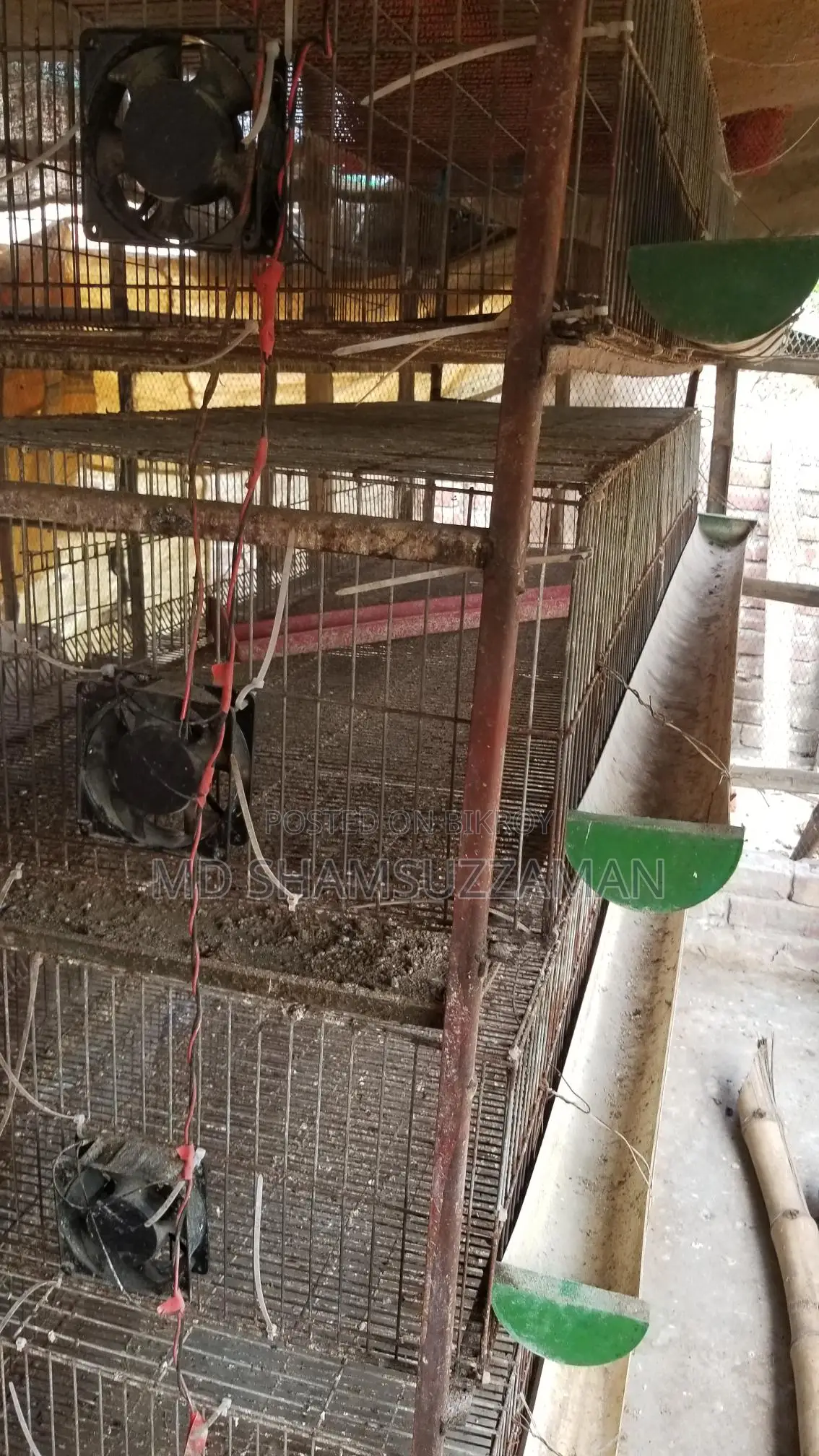 Quail Bird Cage