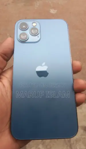 Apple iPhone 12 Pro Max 256 GB Storage (Used)