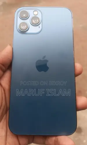 Apple iPhone 12 Pro Max 256 GB Storage (Used)