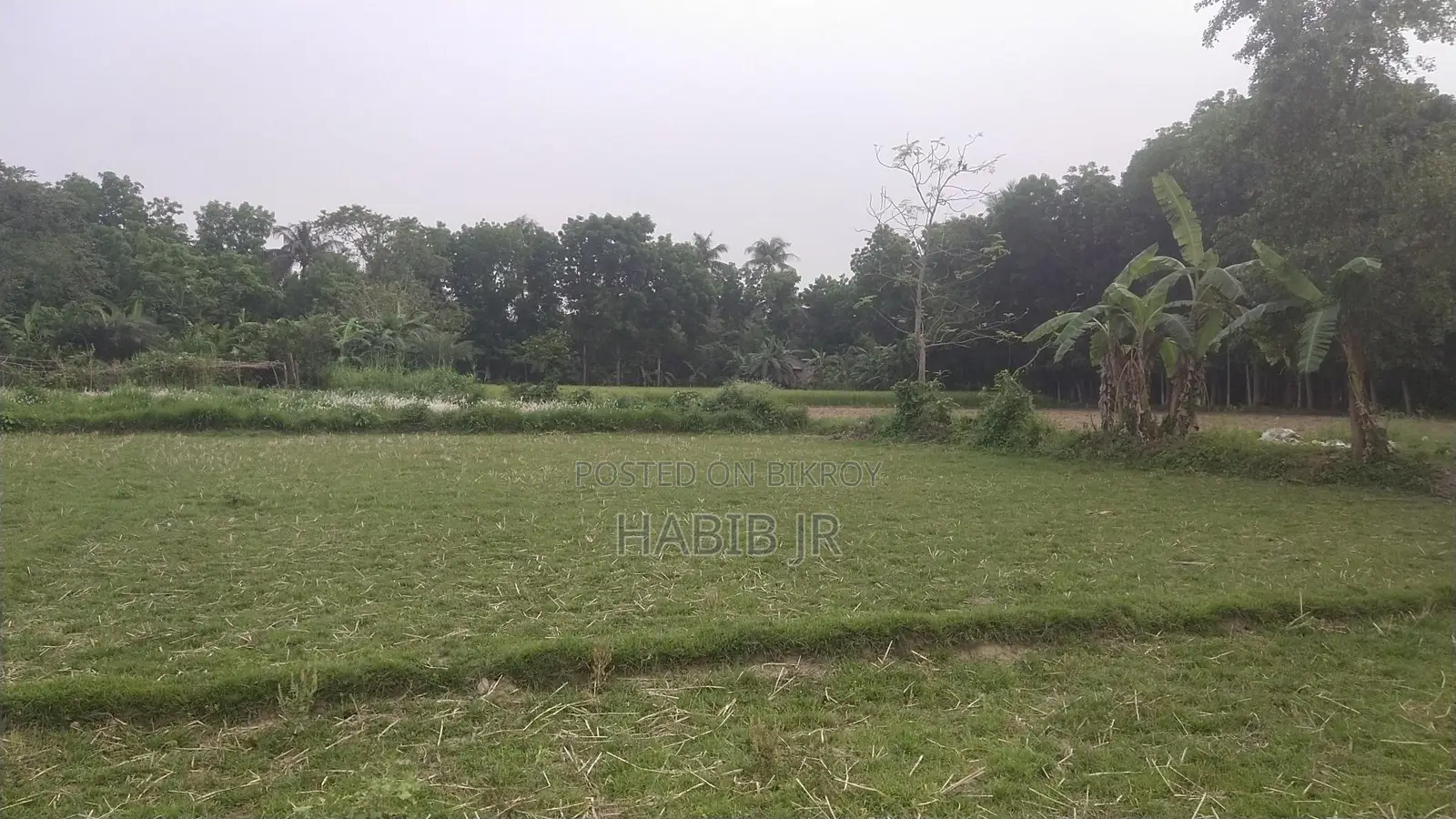 5 Katha Square Land for Sale.