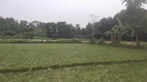 5 Katha Square Land for Sale.