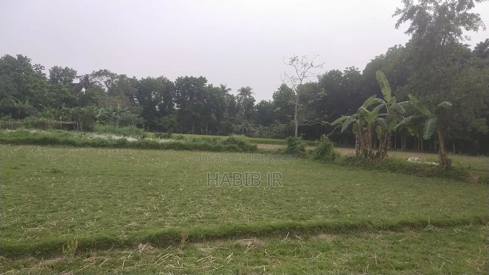 5 Katha Square Land for Sale.