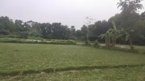 5 Katha Square Land for Sale.
