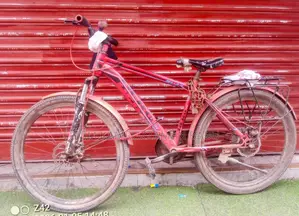 Running Cycle (Non-Geared, Disc Brake)