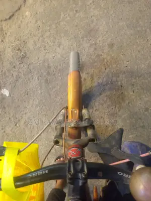 রানিং সাইকেল ডিস্ক ব্রেক গিয়ার ছাড়া।