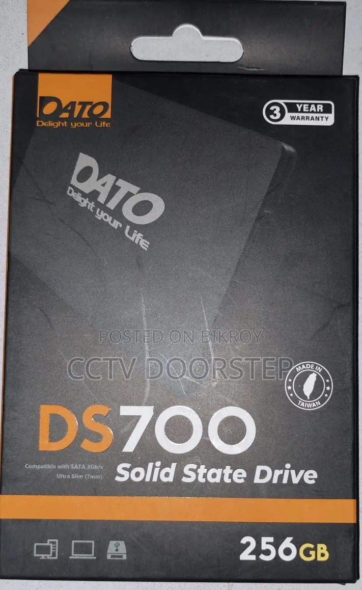 Dato DS700 SSD 256GB