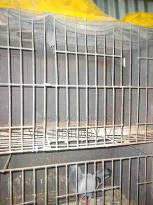 কবুতরের খাচা