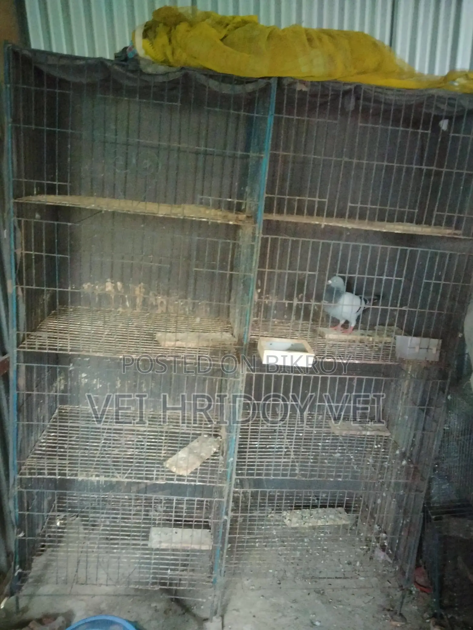 কবুতরের খাচা