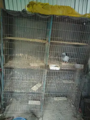 কবুতরের খাচা