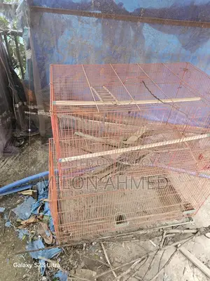 তিনটা পাখির খাঁচা আছে