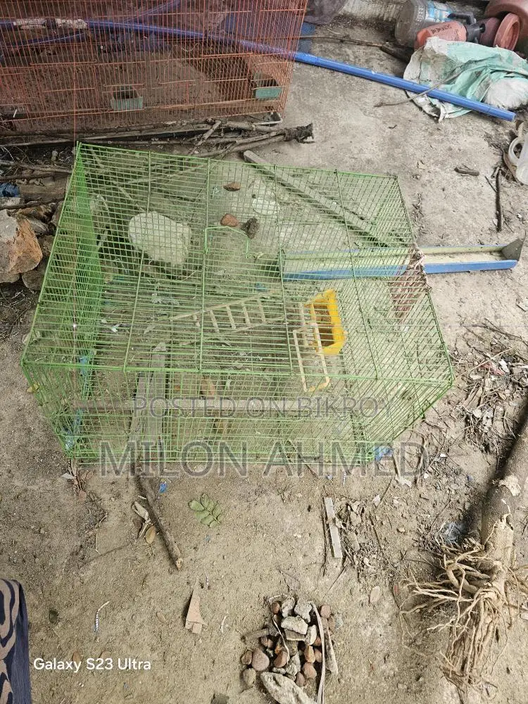 তিনটা পাখির খাঁচা আছে