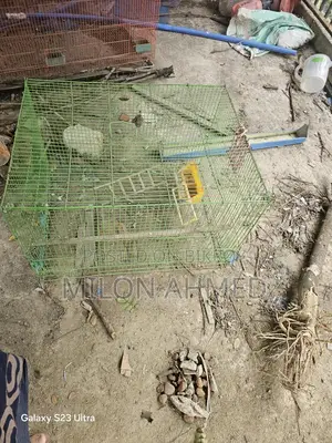 তিনটা পাখির খাঁচা আছে