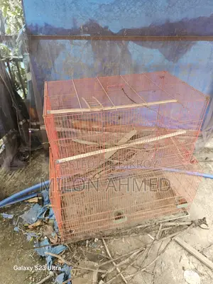 তিনটা পাখির খাঁচা আছে