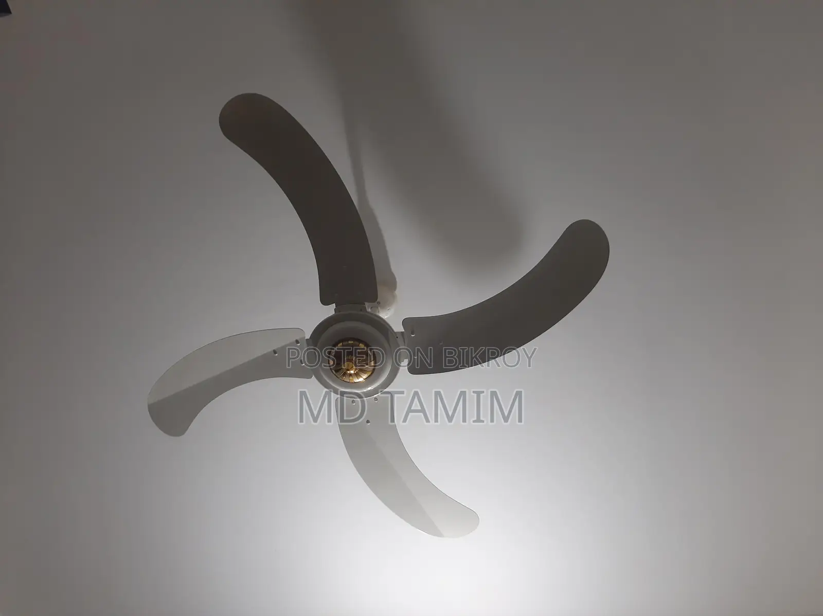 Sk Fan(Pakistan)