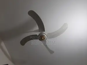 Sk Fan(Pakistan)