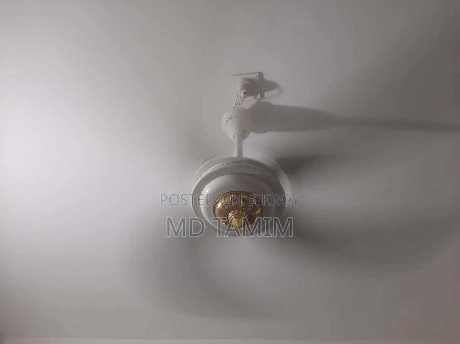 Sk Fan(Pakistan)
