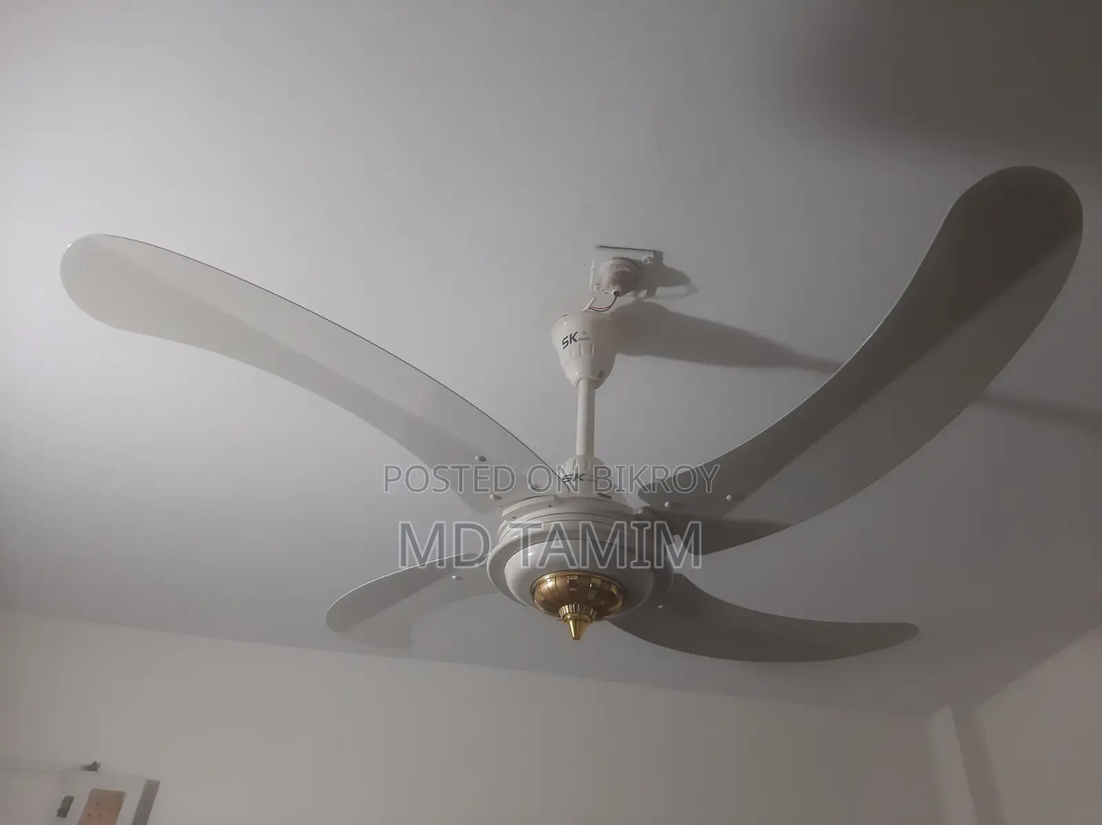 Sk Fan(Pakistan)