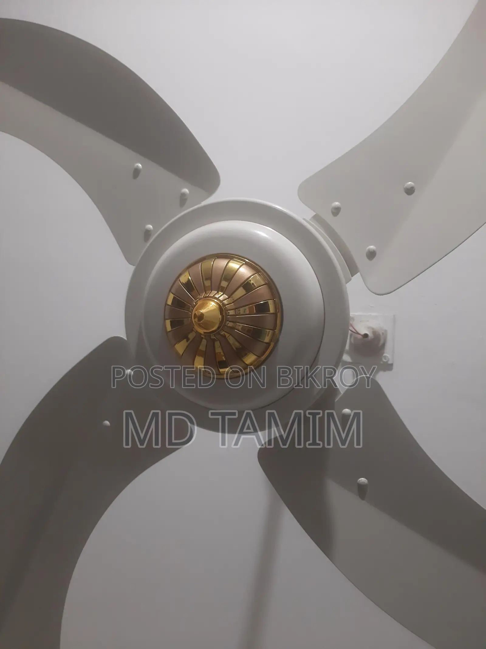 Sk Fan(Pakistan)