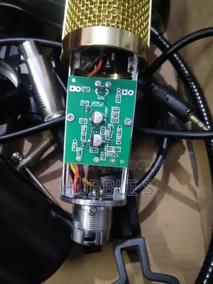 Bm 800 Microphone