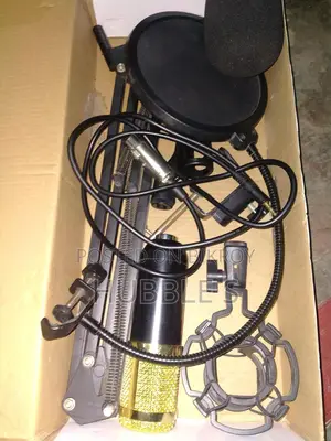Bm 800 Microphone