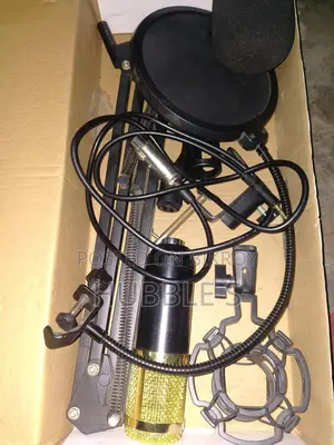 Bm 800 Microphone