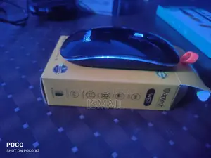 Aptech W61 Rechargeable Bluetooth And Wireless Mouse