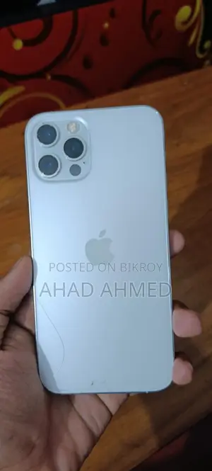 Apple iPhone 12 Pro (Used)