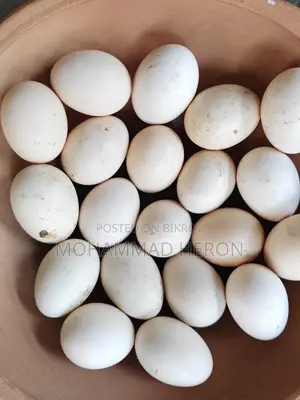 অরিজিনাল দেশি মুরগি