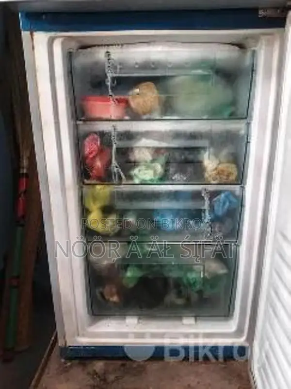 Singer Dd2 29 Bg