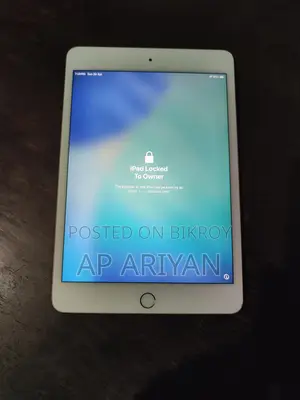 Apple iPad mini 5 256 GB