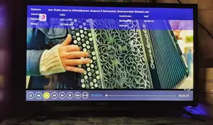Sony 32" LED TV (Includes Box + Remote)