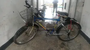 সাইকেলটা বিক্রি করা হবে