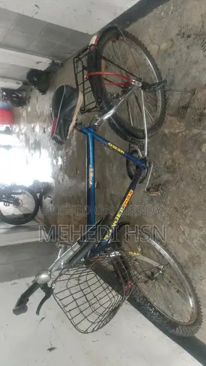 সাইকেলটা বিক্রি করা হবে