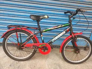 Children's 20" Bicycle