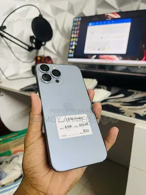 Apple iPhone 13 Pro Max 256 (Used)