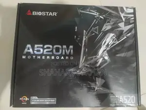 Biostar B450 Mh Motherboard