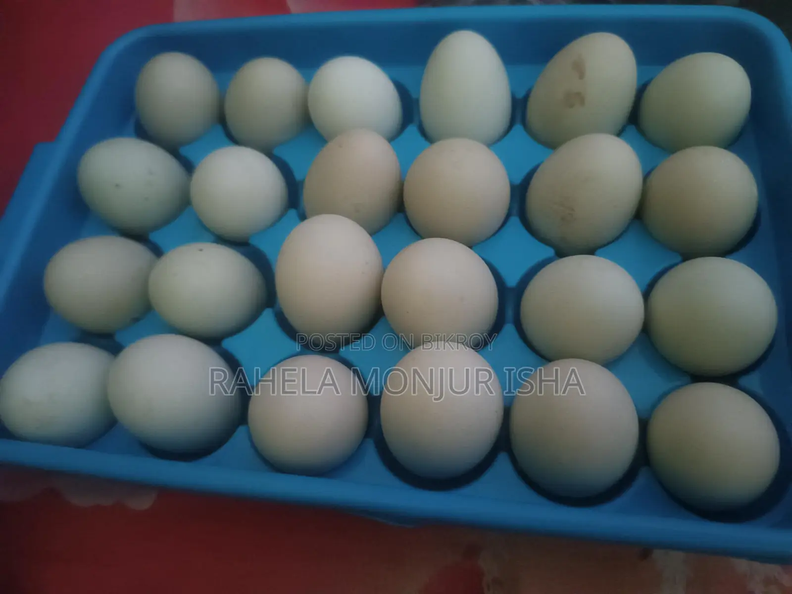 Local Duck Eggs for Sale
