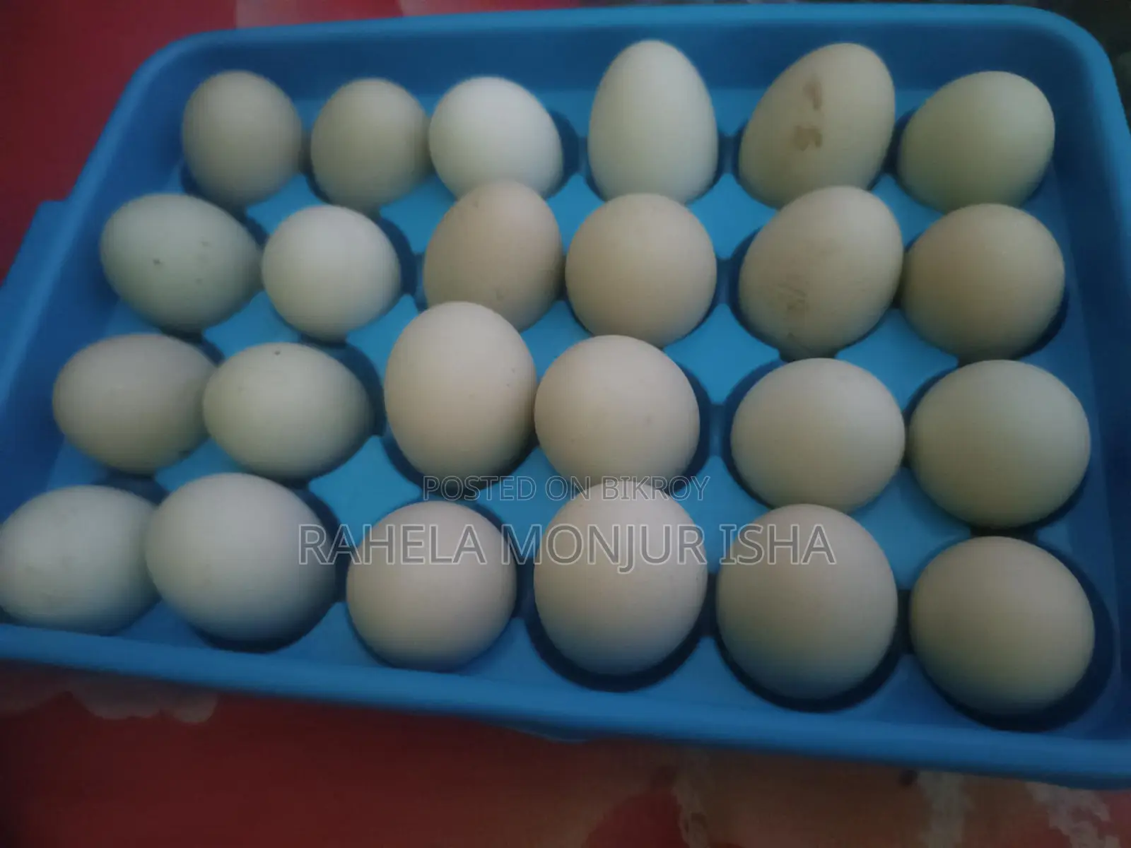 Local Duck Eggs for Sale