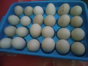 Local Duck Eggs for Sale