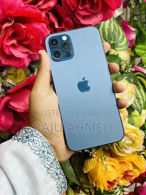Apple iPhone 12 Pro CHINA (Used)
