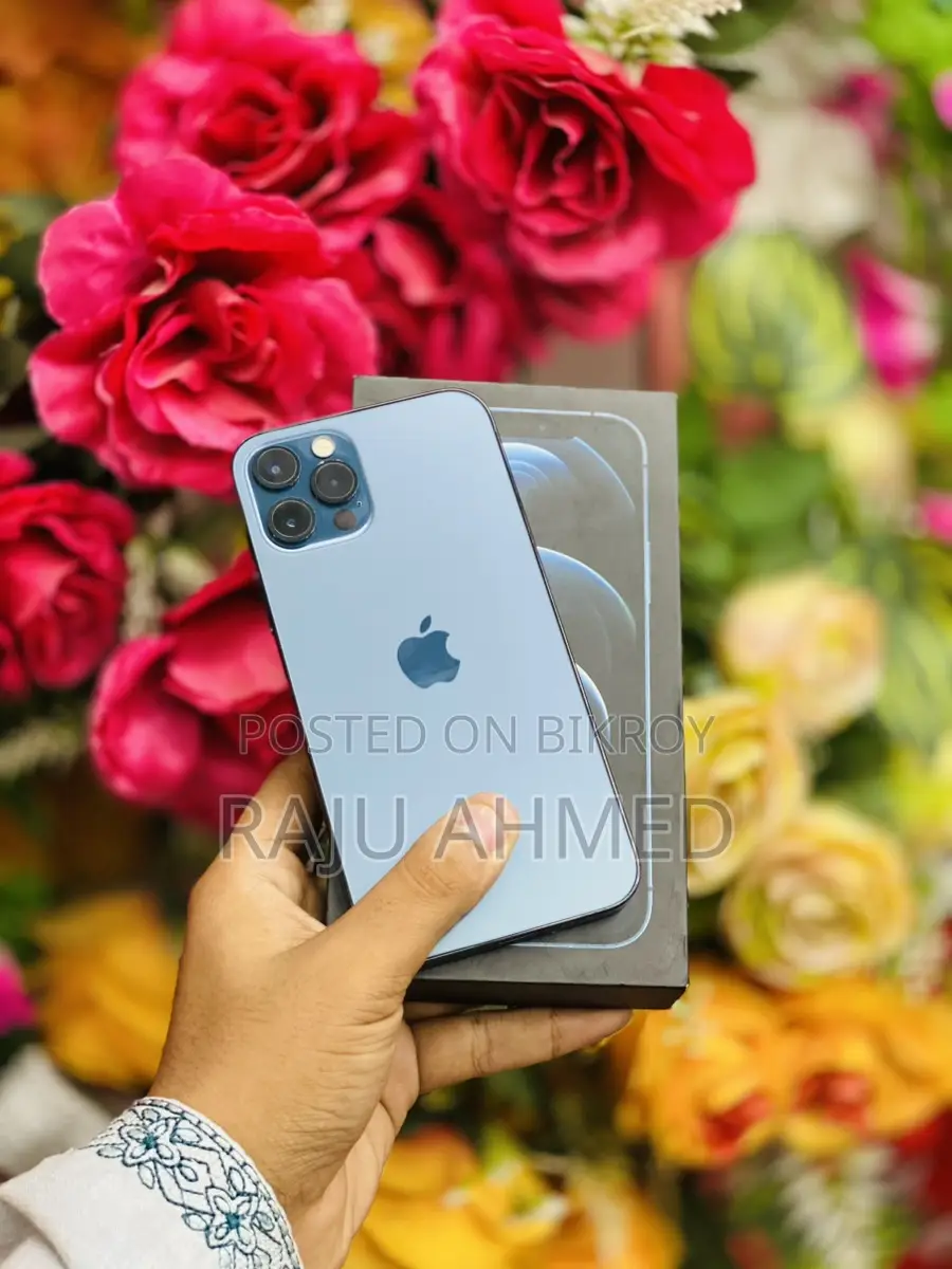 Apple iPhone 12 Pro CHINA (Used)