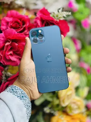Apple iPhone 12 Pro CHINA (Used)