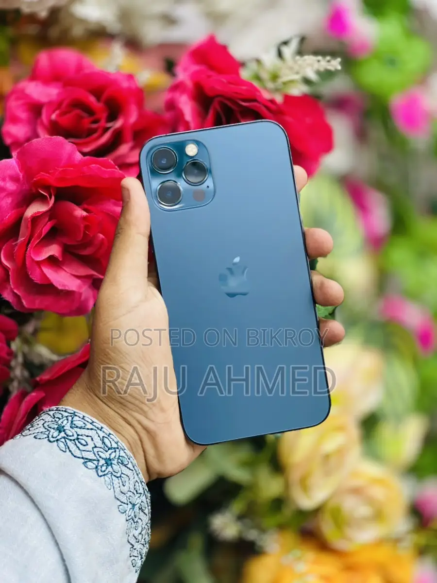 Apple iPhone 12 Pro CHINA (Used)