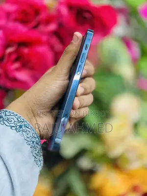 Apple iPhone 12 Pro CHINA (Used)