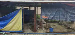 দুই রুমের অ্যাঙ্গেলের এঙ্গেলের শেড বিক্রি হবে