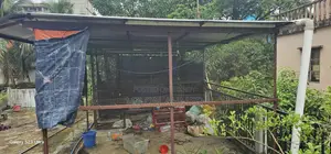 দুই রুমের অ্যাঙ্গেলের এঙ্গেলের শেড বিক্রি হবে