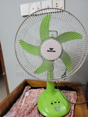 Walton 14-inch Rechargeable Fan